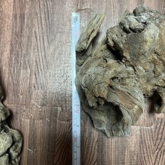水槽用流木 自然なデザイン3本の画像