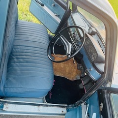 ダットサンブルーバード昭和41年式 の画像