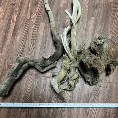 水槽用流木 自然なデザイン3本の画像