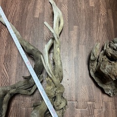 水槽用流木 自然なデザイン3本の画像