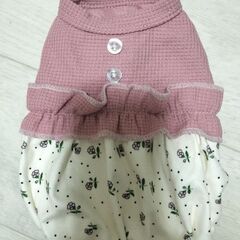 犬服3点の画像