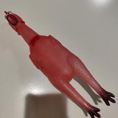 わ〜て言う鶏の画像