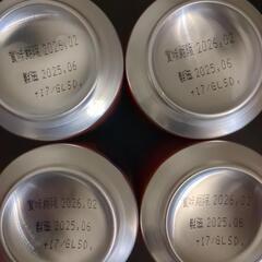 【13本】クラフトビール スプリングバレー豊潤ラガー496の画像