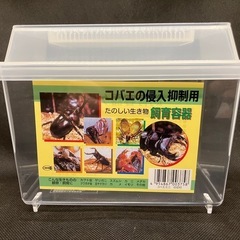 ニジイロクワガタ ♂ 虫ケースと共に の画像