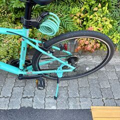 Bianchi クロスバイク(Csports)チェレステカラー 2020年モデル サイズ51の画像