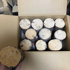 産卵木 59本 クヌギ 柔めのみの画像