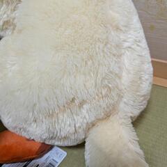 まとめての画像