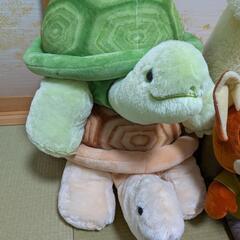 まとめての画像