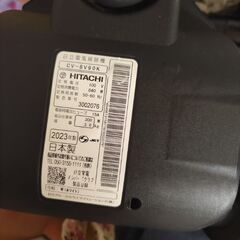 今週中引取可能な方の画像