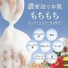 【新品】ボディウォッシュ 石鹸の香り ワキガ 体臭 加齢臭 脇汗 制汗 足の臭い ウィル クレンズ 薬用 シャワーオイル 300mLの画像