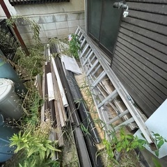 長谷川　３連梯子の画像