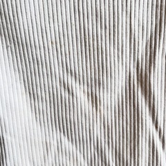 半袖Tシャツの画像