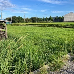 庭や田んぼ空き地の草刈お任せください！