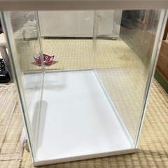水槽の画像