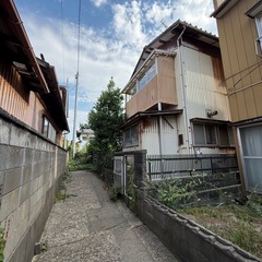 鳩🐦が2階天井にいます、、、恐いです。笑