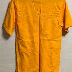 ブラック　ヒストリー　マンス　tシャツ の画像