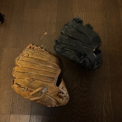 グローブ 2つの画像