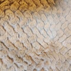 コストコペット用ベットの画像