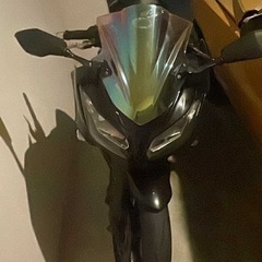 カワサキニンジャ250Seの画像