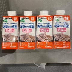 【子猫のご飯】キャットフードの画像