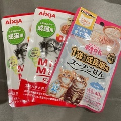 【子猫のご飯】キャットフードの画像