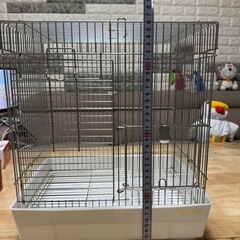 ステンレス製　セキセイインコ　小鳥用ケージの画像