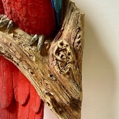 オウム レッド&ブルー Parrot 強化プラスチック 置物 軽量 フィギュアの画像