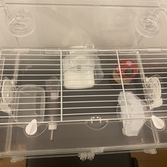 ハムスター飼育セットシャイニー45　すぐにハムスターお迎えできます。の画像