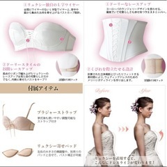 リュクシー ブライダルインナー 4点セットの画像