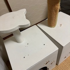 愛猫ちゃんの秘密基地の画像