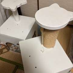 愛猫ちゃんの秘密基地の画像