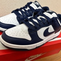 NIKE DUNK LOW HF5441-107 27.0cm 未使用新品の画像