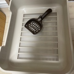 猫🐈‍⬛トイレ　ネコ🐈トイレの画像
