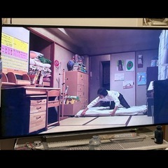 テレビ 50インチ  REGZA の画像
