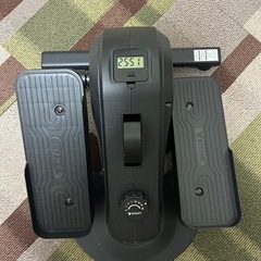 STEADY ステッパーの画像