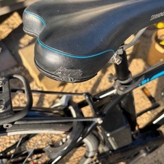 BRIDGESTONE 電動アシスト自転車 TB1e フルカスタムの画像