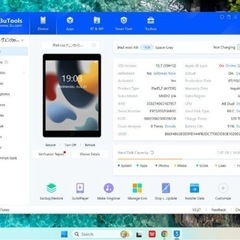 iPad mini4 16GB SoftBank利用制限〇 SIMロック解除済みの画像