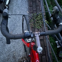 ロードバイクの画像
