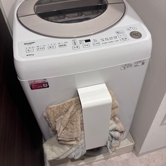 洗濯機【おまけつき】の画像