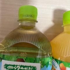 【場所指定あり】クーちゃんセットの画像