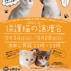 NECOAS 保護猫の譲渡会　静岡市駿河区　2025/9/…