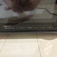 SONY 電子レンジの画像