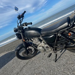 グラストラッカー250の画像