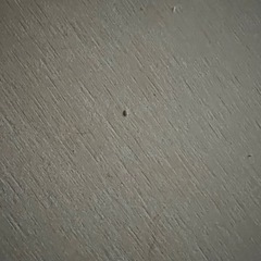 珪藻土バスマットの画像