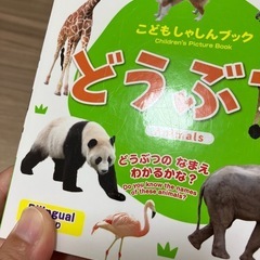 ダイソー　ベビー本　写真ブック　図鑑　乗り物　生き物の画像