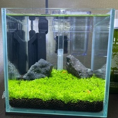 水槽・周辺機器　セットの画像
