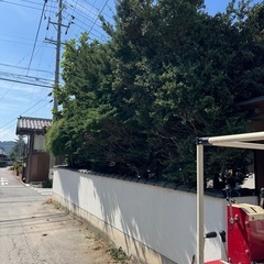 木のお手入れ - 伊那市
