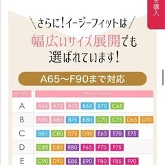 ヌーブラの画像