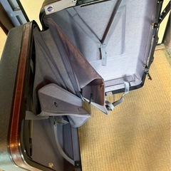 8月31日日曜日に取りに来てくれる方限定で格安です　キャリーバッグの画像