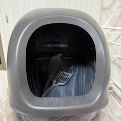 猫　トイレの画像